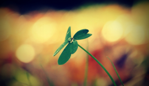 印刷加工厂招聘信息最新，印刷厂招工人