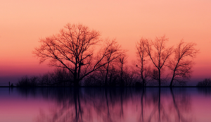 uv平板喷画工艺是什么类型的印刷工艺形式，uv喷画制作